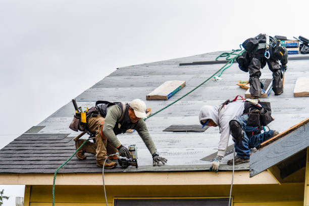 Professional Gutter Installation technician working in Hills, IA